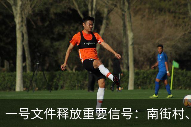 一号文件释放重要信号：南街村、兴十四村，集体经济的探索启示