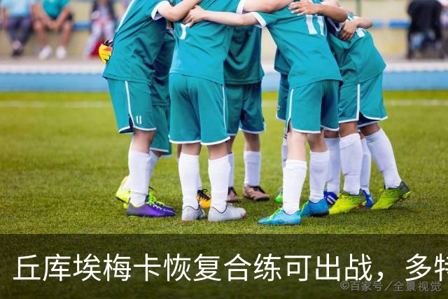 丘库埃梅卡恢复合练可出战，多特门将迈尔因病存疑