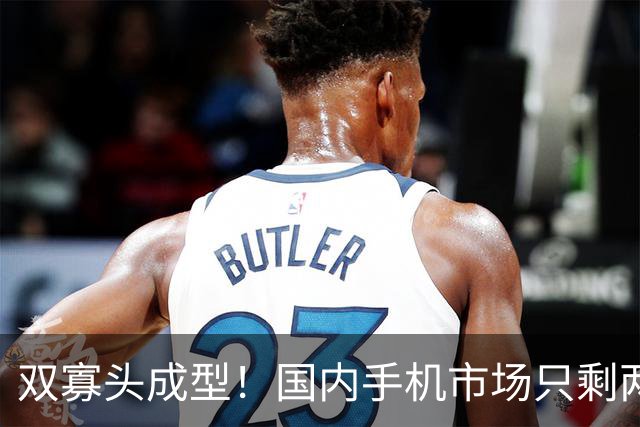双寡头成型！国内手机市场只剩两大玩家博弈