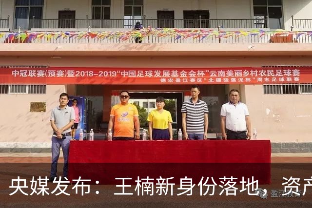 央媒发布：王楠新身份落地，资产冻结、被带走调查传闻早有真相！