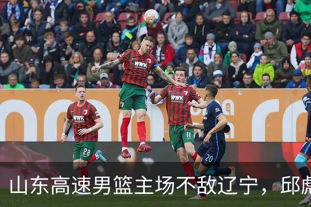 山东高速男篮主场不敌辽宁，邱彪赛后评价法耶：无可挑剔
