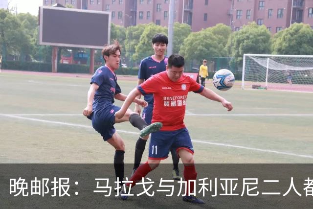 晚邮报：马拉戈与加利亚尼二人都尚未获得11家意甲俱乐部支持