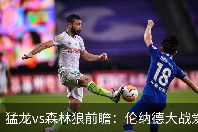 猛龙vs森林狼前瞻：伦纳德大战爱德华兹，一场不同风格的强硬对决