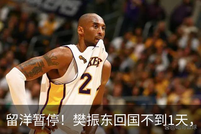 留洋暂停！樊振东回国不到1天，正式官宣新身份，终于等到这一天