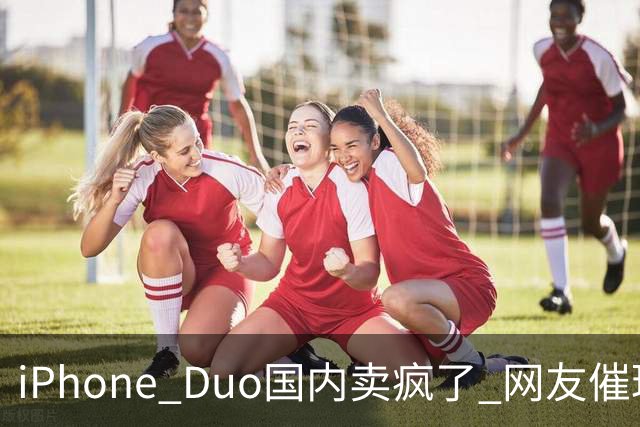 iPhone Duo国内卖疯了 网友催理想汽车何时适配！高管回应